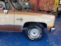 1981 Chevrolet Silverado for sale in Michigan (ID-119631)