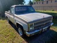 1981 Chevrolet Silverado for sale in Michigan (ID-124005)