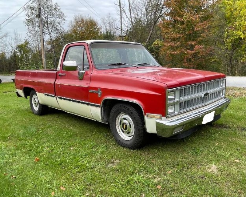 1981 Chevrolet Silverado for sale in Michigan (ID-124302)