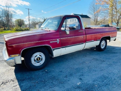 1981 Chevrolet Silverado for sale