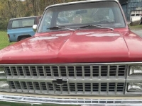 1981 Chevrolet Silverado for sale in Michigan (ID-125063)