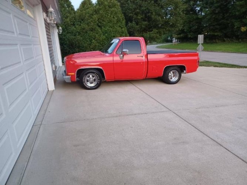 1981 Chevrolet Silverado for sale in Michigan (ID-139009) 1981 Chevrolet Silverado for sale in Michigan (ID-139009)