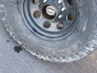 1981 Chevrolet Silverado for sale in Michigan (ID-141837)