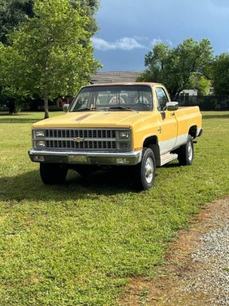 1981 Chevrolet Silverado for sale in Michigan (ID-164576)