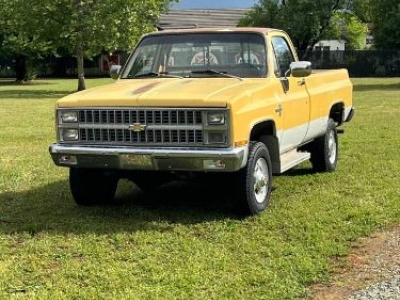 1981 Chevrolet Silverado for sale