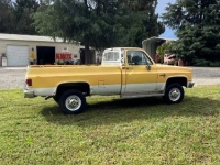 1981 Chevrolet Silverado for sale in Michigan (ID-164576)