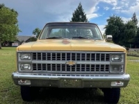 1981 Chevrolet Silverado for sale in Michigan (ID-164576)