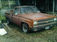 1981 Chevrolet SWB for sale (ID-99839)