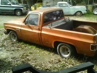 1981 Chevrolet SWB for sale (ID-99839)