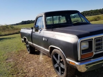 1981 Dodge D150 for sale