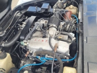 1981 Fiat 124 Spider for sale in Michigan (ID-130025)