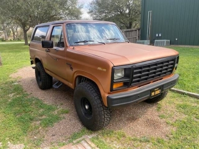1981 Ford Bronco for sale