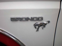 1981 Ford Bronco for sale in Michigan (ID-124795)