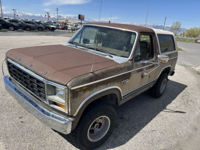 1981 Ford Bronco for sale