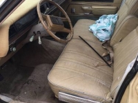 1981 Ford Country for sale in Michigan (ID-105158)