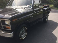 1981 Ford F100 for sale in Michigan (ID-98235)