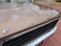 1981 Ford F100 for sale in Michigan (ID-112542)