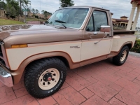 1981 Ford F100 for sale in Michigan (ID-112542)