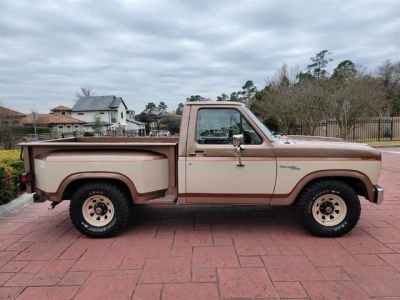 1981 Ford F100 for sale