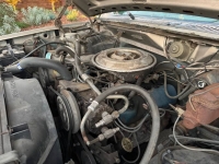 1981 Ford F150 for sale in Michigan (ID-145693)