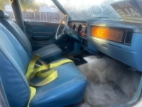 1981 Ford Fairmont for sale in Michigan (ID-146837)
