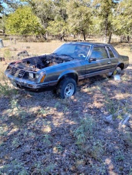 1981 Ford Mustang for sale in Michigan (ID-123140)