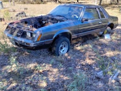 1981 Ford Mustang for sale