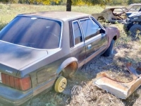 1981 Ford Mustang for sale in Michigan (ID-123140)