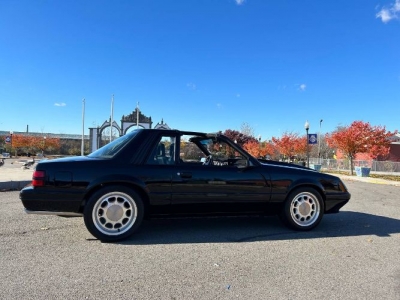 1981 Ford Mustang for sale