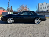 1981 Ford Mustang for sale in Michigan (ID-123779)