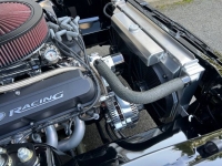 1981 Ford Mustang for sale in Michigan (ID-123779)