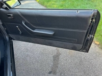 1981 Ford Mustang for sale in Michigan (ID-123779)