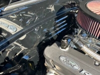 1981 Ford Mustang for sale in Michigan (ID-123779)