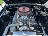 1981 Ford Mustang for sale in Michigan (ID-123779)