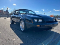 1981 Ford Mustang for sale in Michigan (ID-123779)