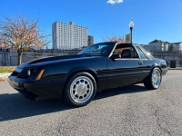 1981 Ford Mustang for sale in Michigan (ID-123779)