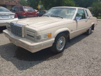 1981 Ford Thunderbird for sale in Michigan (ID-126412)