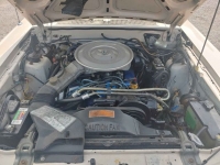 1981 Ford Thunderbird for sale in Michigan (ID-126412)