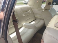 1981 Ford Thunderbird for sale in Michigan (ID-126412)