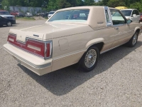 1981 Ford Thunderbird for sale in Michigan (ID-126412)