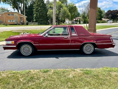 1981 Ford Thunderbird for sale