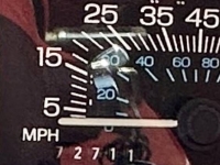 1981 Ford Thunderbird for sale in Michigan (ID-146458)