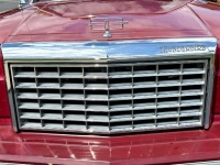 1981 Ford Thunderbird for sale in Michigan (ID-146458)