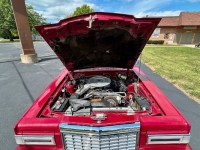 1981 Ford Thunderbird for sale in Michigan (ID-146458)