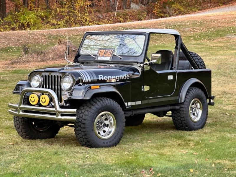 1981 Jeep CJ7 for sale in Michigan (ID-145880)