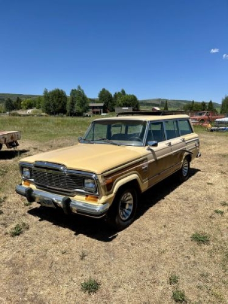 1981 Jeep Grand Wagoneer for sale in Michigan (ID-143552)