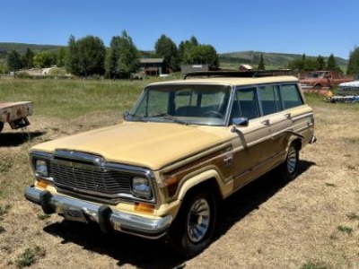 1981 Jeep Grand Wagoneer for sale