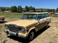 1981 Jeep Grand Wagoneer for sale in Michigan (ID-143552)