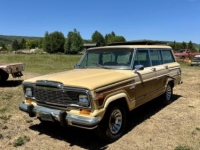 1981 Jeep Grand Wagoneer for sale in Michigan (ID-143552)