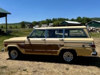 1981 Jeep Grand Wagoneer for sale in Michigan (ID-143552)